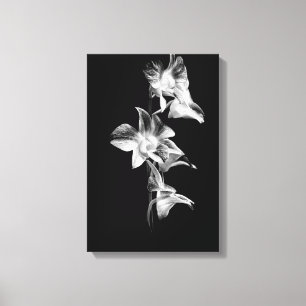 Spray von Orchideen in Schwarz und Weiß Leinwanddruck