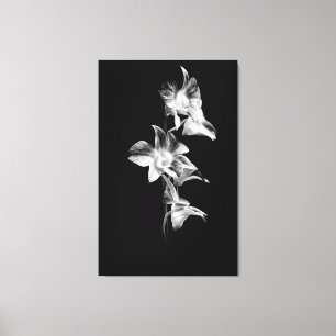 Spray von Orchideen in Schwarz und Weiß Leinwanddruck
