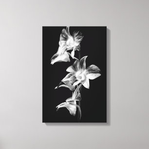 Spray von Orchideen in Schwarz und Weiß Leinwanddruck