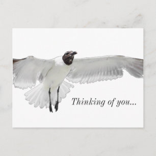 Spread diese Dinge PNG Denken Sie an Sie Postkarte