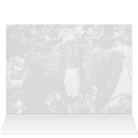 Spread Eagle (Innenansicht Horizontal (Oben))