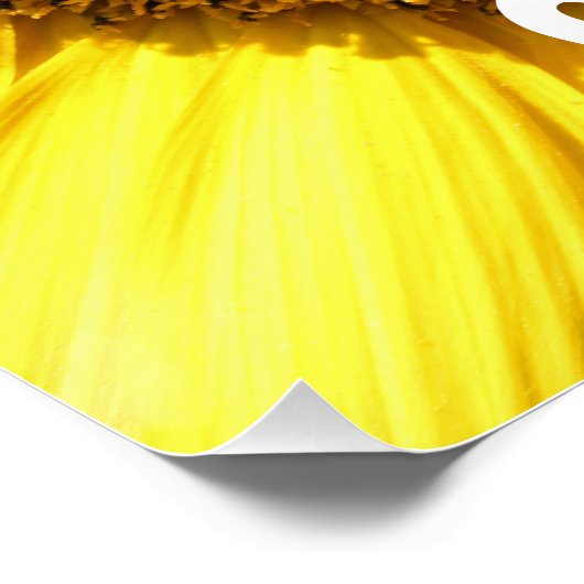 Spread Joy Poster (Ecke)