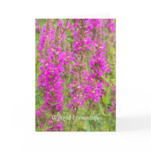 Spread meine Flügel und Fliegen: Glückwünsche