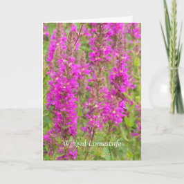 Spread meine Flügel und Fliegen: Glückwünsche Karte