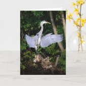 Spread your Wings Karte (Gelbe Blume)