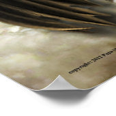 Spread your Wings Poster (Ecke)