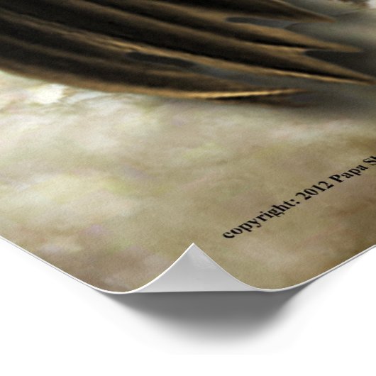 Spread your Wings Poster (Ecke)