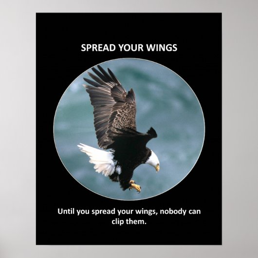 Spread-your-wings Poster (Vorne)