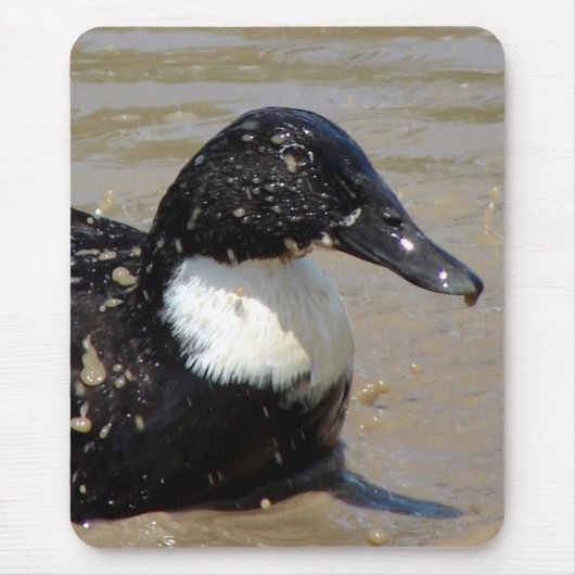 Sprechen Sie die Ente Mousepad (Vorne)