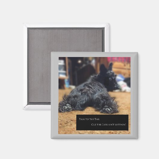 Sprechen Sie mit dem Schwanz Magnet (Vorderseite/Rückseite)