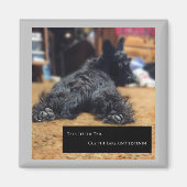 Sprechen Sie mit dem Schwanz Magnet (Vorne)