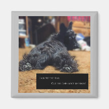 Sprechen Sie mit dem Schwanz