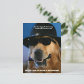 Sprechen Sie mit dem Senator Boxer, der für Hunde  Postkarte (Stehend Vorderseite)