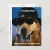 Sprechen Sie mit dem Senator Boxer, der für Hunde  Postkarte (Vorne/Hinten)