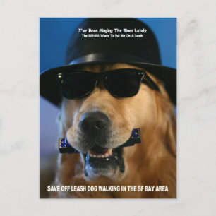 Sprechen Sie mit dem Senator Boxer, der für Hunde Postkarte