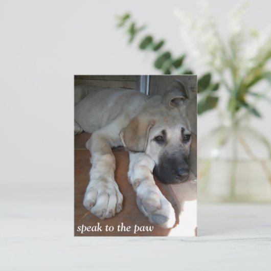 Sprechen Sie mit der Tatze Postkarte (Stehend Vorderseite)