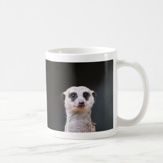 Sprechen Sie mit mir? Meerkate Tasse (Rechts)