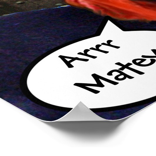 SPRECHEN VON PIRATKATZEN UND SCHIFFEN IM MEERESORM POSTER (Ecke)