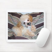 Sprechenc$wellenartig bewegen des mousepad (Mit Mouse)