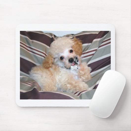 Sprechenc$wellenartig bewegen des mousepad (Mit Mouse)