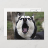 sprechend postkarte (Vorne/Hinten)