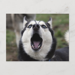 sprechend postkarte