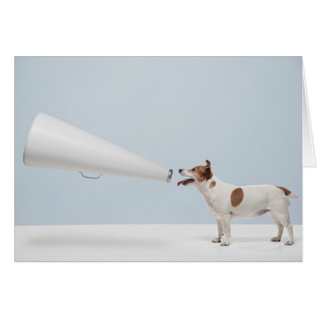 Sprechender Hund Getty Bild-| (Vorderseite (Horizontal))