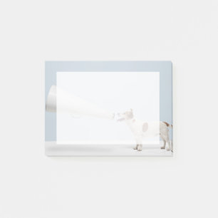 Sprechender Hund Getty Bild-  Post-it Klebezettel