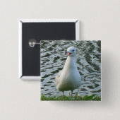 Sprechenseemöwe Button (Vorne & Hinten)