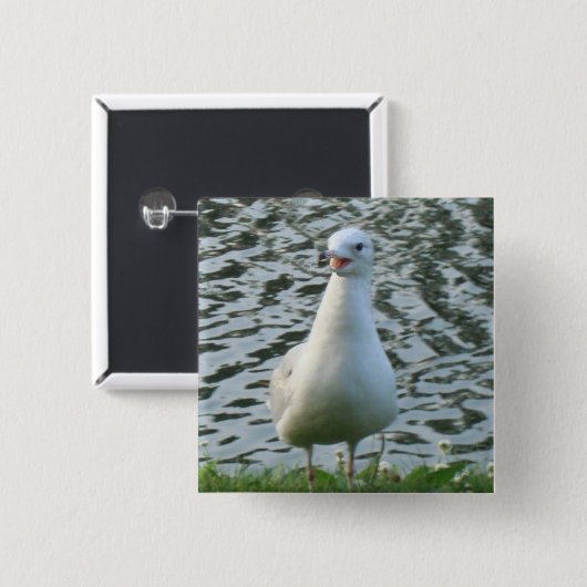 Sprechenseemöwe Button (Vorne & Hinten)