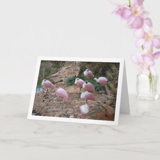 Sprecher Karte (Orchidee)