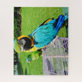 SPRECHPARROS PUZZLE (Vertikal)