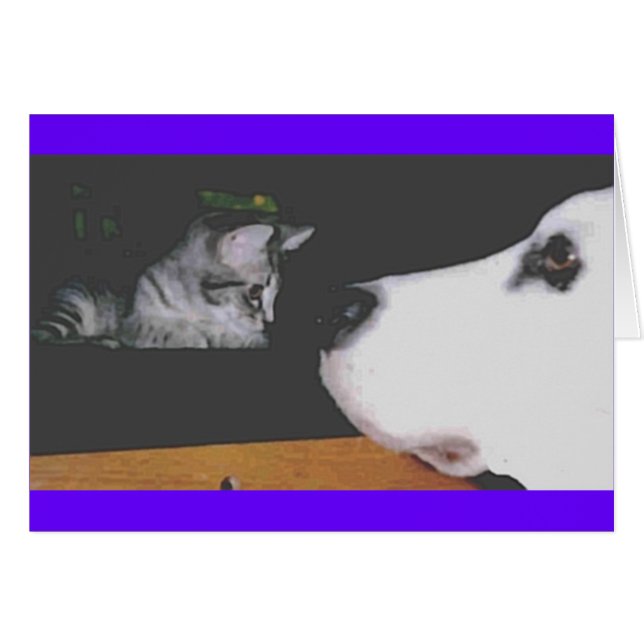 Spree&Kichou (Vorderseite (Horizontal))