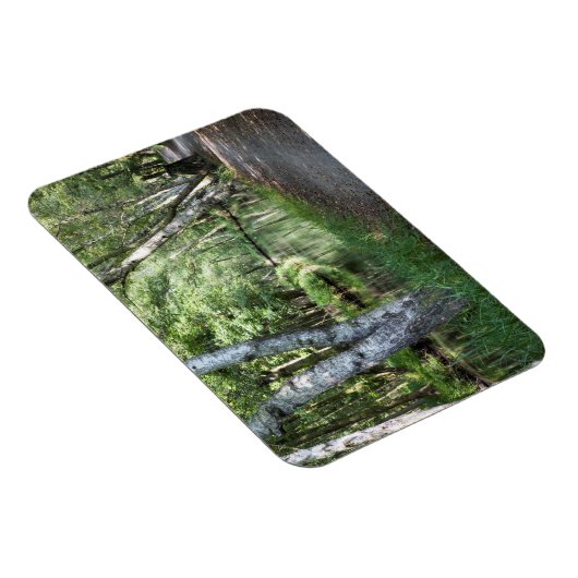Spreewald Canal Magnet (Rechte Seite)