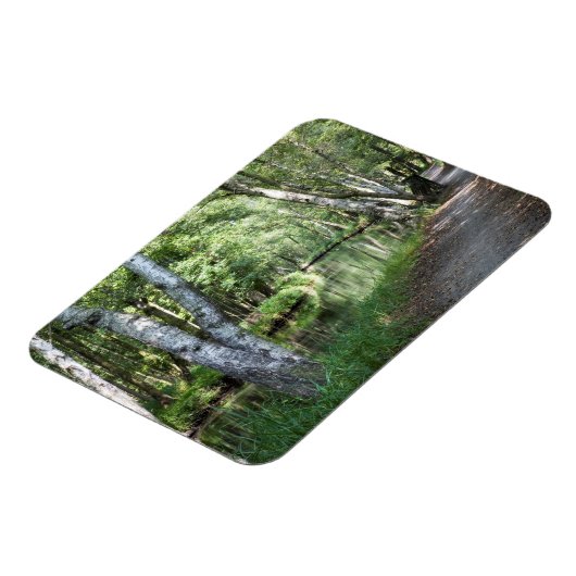 Spreewald Canal Magnet (Linke Seite)