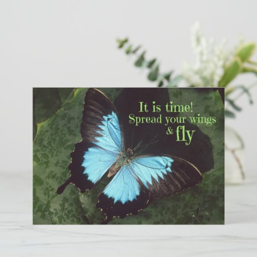 Spreizen Sie Ihre Flügel und Fliegenschmetterlinge (Stehend Vorderseite)