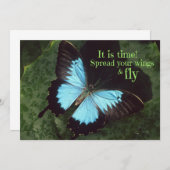 Spreizen Sie Ihre Flügel und Fliegenschmetterlinge (Vorne/Hinten)