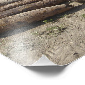 Sprengkörper werden identifiziert und erfunden fotodruck (Ecke)