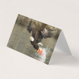 Sprengladender Adler