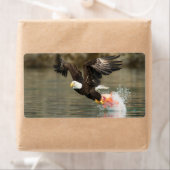 Sprengladender Adler (Insitu)