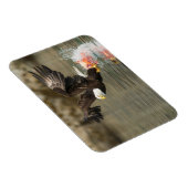 Sprengladender Adler Magnet (Rechte Seite)