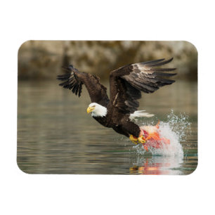 Sprengladender Adler Magnet