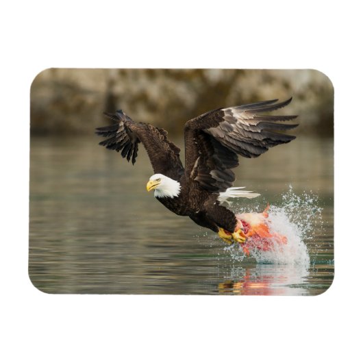 Sprengladender Adler Magnet (Horizontal)