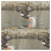 Sprengladender Adler Stoff (Nahaufnahme)