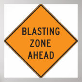 Sprengzone vor der Straße Schildkröte Poster (Vorne)