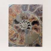 Sprial Muschel Fossil Puzzle (Vertikal)