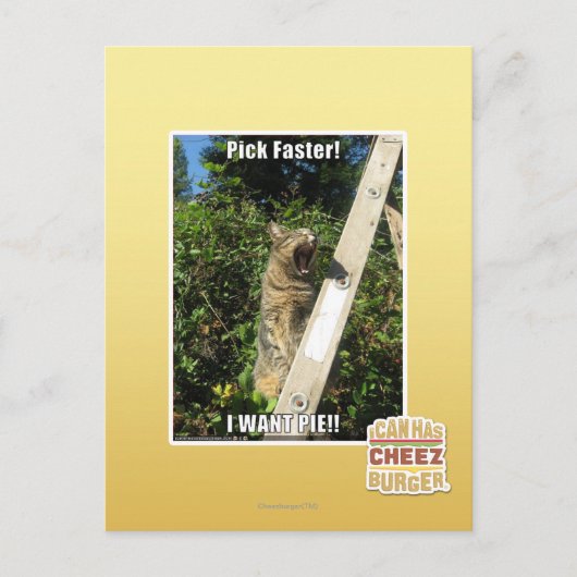 Sprich schneller! postkarte (Vorderseite)