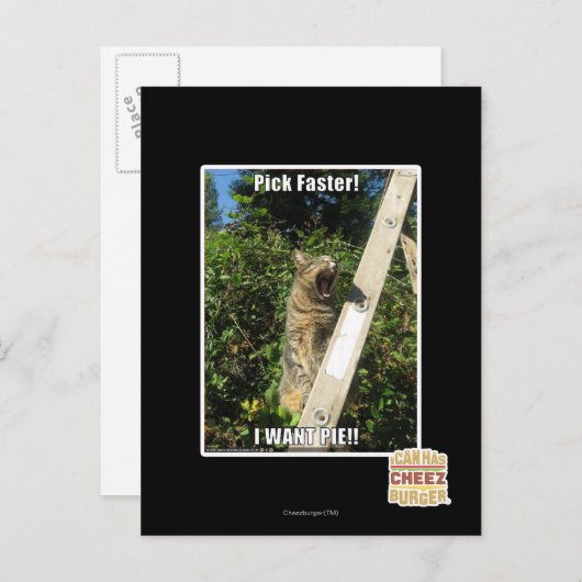 Sprich schneller! postkarte (Vorne/Hinten)