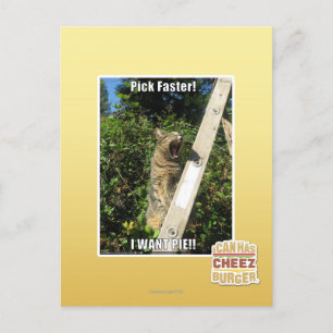 Sprich schneller! postkarte