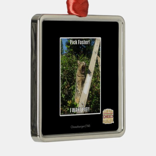 Sprich schneller! silbernes ornament (Rechts)